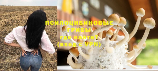 твердый Абинск