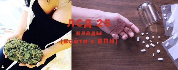 твердый Абаза