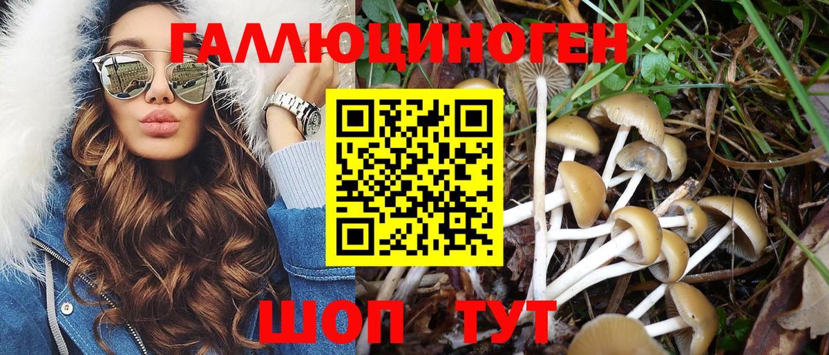 Галлюциногенные грибы мицелий  Вход с VPN  Псилоцибиновые грибы мицелий  Киржач 